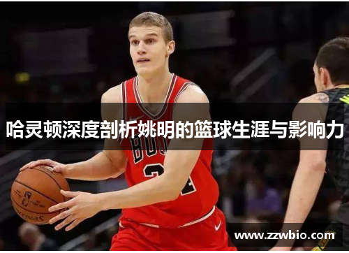 哈灵顿深度剖析姚明的篮球生涯与影响力